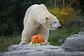 2015-10-22 06-27-55 (2)